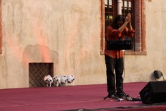 12- LiveAtVocalmenteLoopContest2015B.JPG